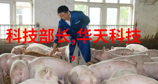 智慧守护岁月之声的自动报警