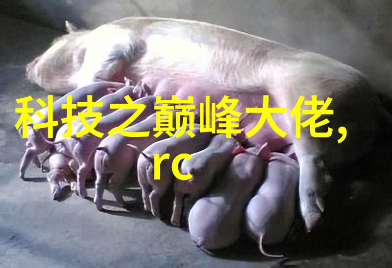消杀公司的业务范围-全面清洁消杀公司如何拓展服务领域