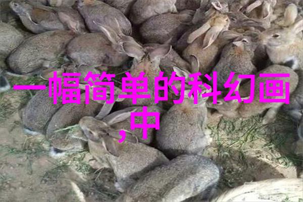 厨房卫生间翻新改造流程从规划到完工的精彩旅程