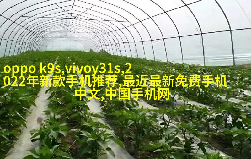 案例二