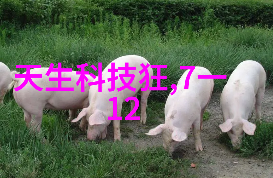 蜜桃成熟时3d种子我是如何发现自己生活中的三个蜜桃之秘密的