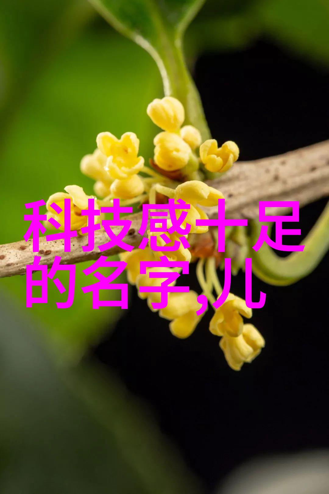 中铝智能工厂高效生产的未来