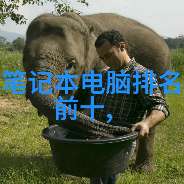 金鼎杀菌釜我家的厨房新宠金鼎杀菌釜为什么它成了我的不二选择