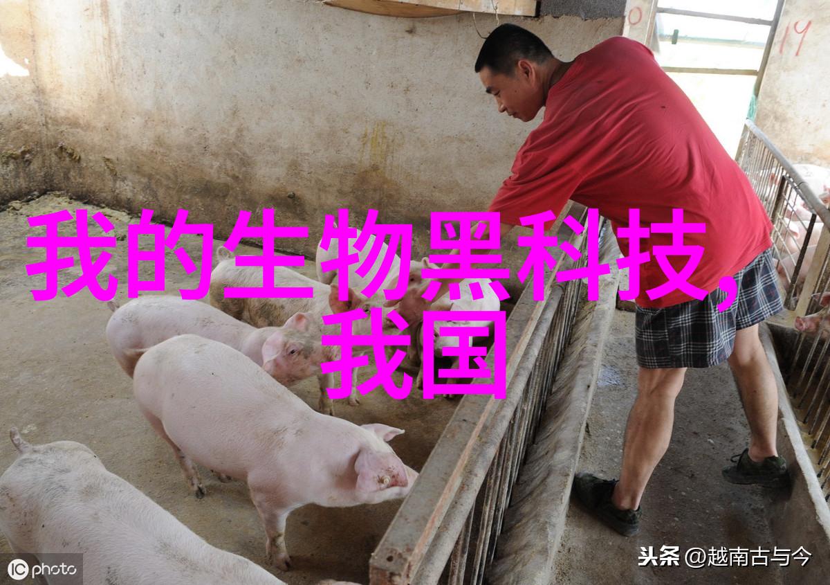 生产效率提升与环境保护如何平衡使用工业废气处理器