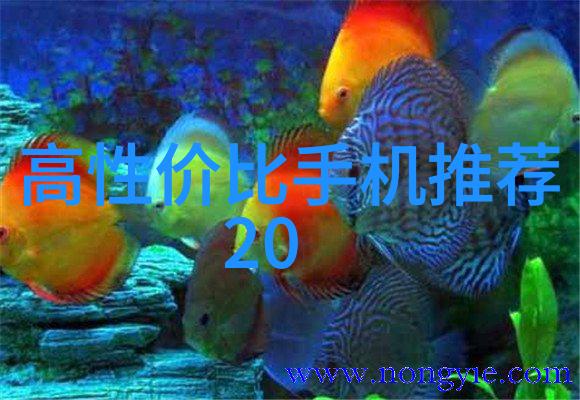 固体药品检测的全面概述