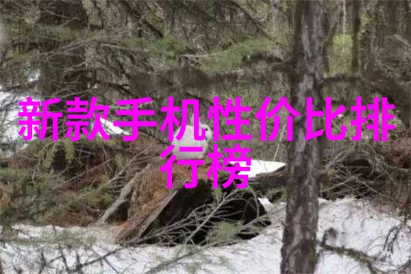 秒破神秘揭秘30秒内成受众小视频制作技巧
