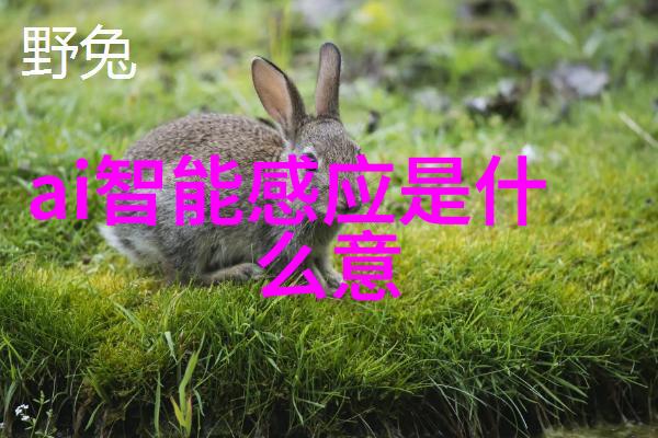 厨房装修效果图-精致空间设计创意灵感与实用功能的完美融合