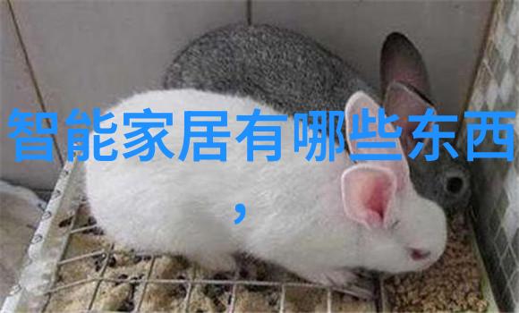 未来戰場上的數位一軍技術與戰略融合
