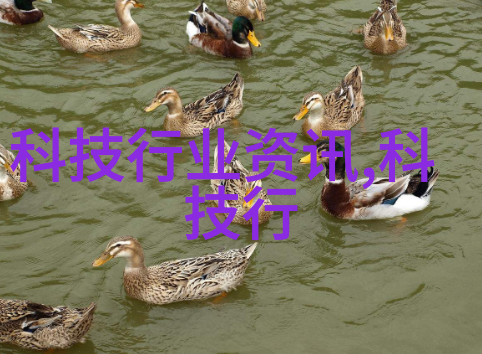 炮灸的神秘力量探索古代中医治疗法的奥秘