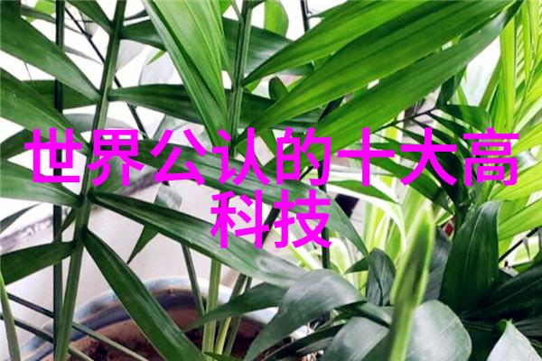 智慧出行新篇章智能交通系统正式发布使用指南