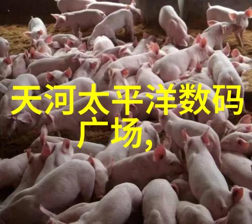 美丽姑娘高清视频免费全集