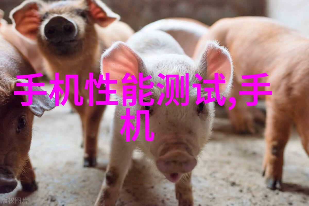 DIY装饰技巧分享通过手工艺增添个性于你的design graph室内空间