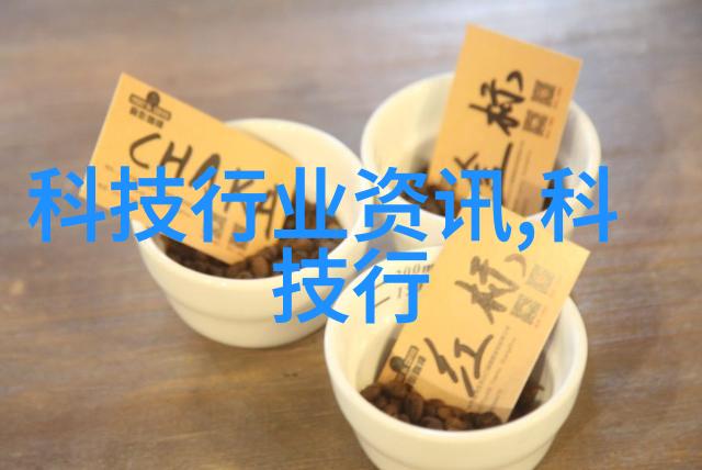 固定流化床反应器-气体固体反应技术的创新应用