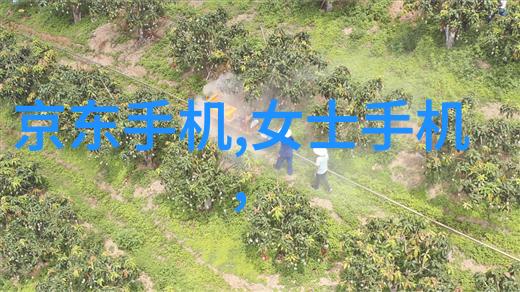 布袋除尘技术的发展历程与未来趋势