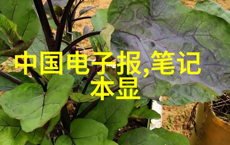 主题我是怎么把45厚壁钢管从工厂运到家里的