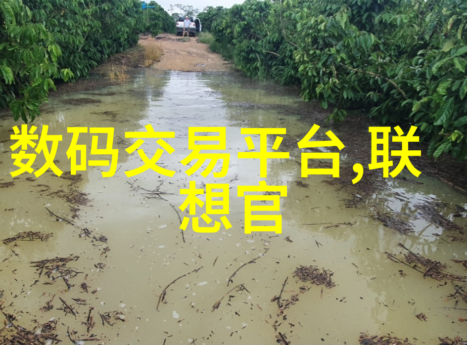 水电安装项目全解析从设计到施工的详细指南