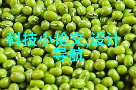固定床反应器工艺流程之谜如何解锁高效率的化学反应
