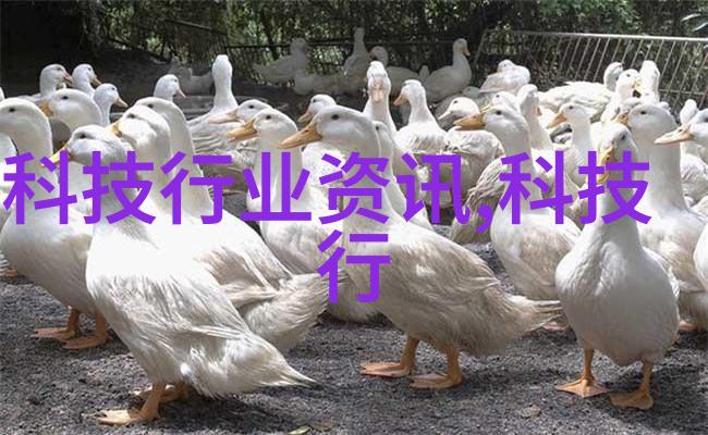 客厅装修图片大全简约我的家里也能这样装修出风格