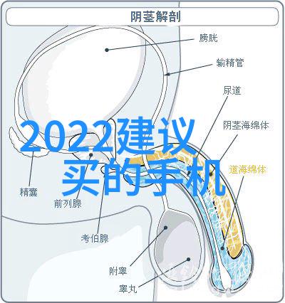 医疗卫生小型化新一代污水处理系统的崛起