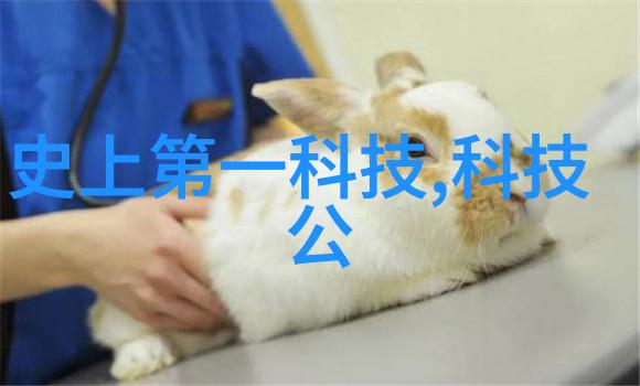切制-精细工艺探索切片技术的艺术与科学