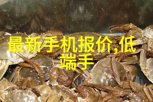 向上级报告情况范文-详细汇报工作进展与遇到的问题