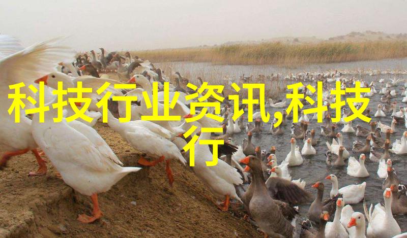 这个看起来蓬松又软绵的粉红色卫衣