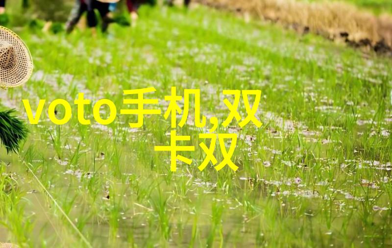 探秘小宝寻花揭秘他在哪些神秘网站上传的花海奇遇视频