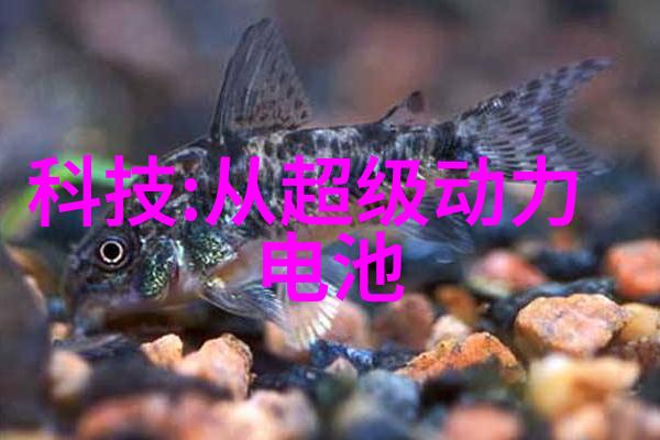 炮灸的神奇疗效炮灸的神秘治愈力量