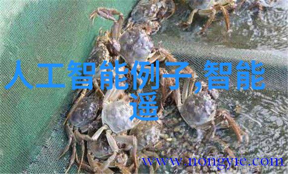 乡村清泉农村自来水过滤设备的重要性与选择