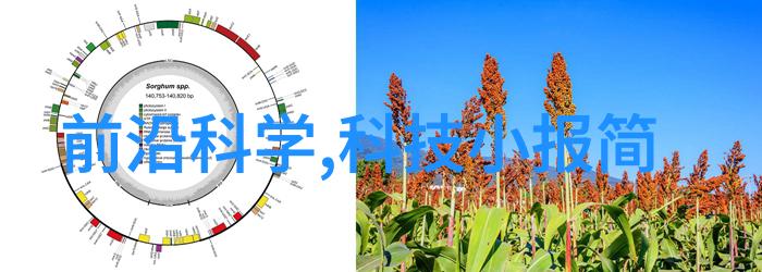 乌鲁木齐装修公司追求美学与实用性的完美结合