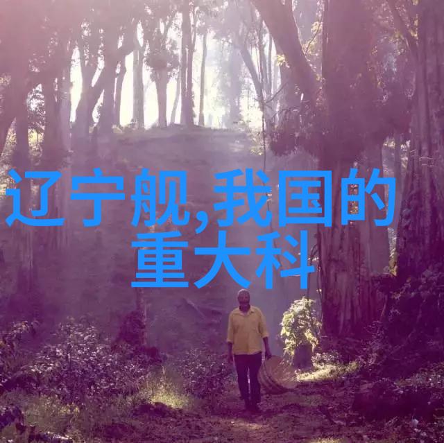 窗帘配件遮阳的艺术与风格的展现