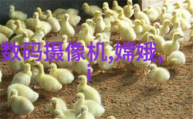 皮带输送机设备的应用与维护策略