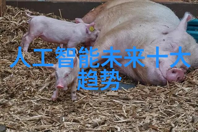 兔宝宝板材可爱小动物主题的家居装饰材料