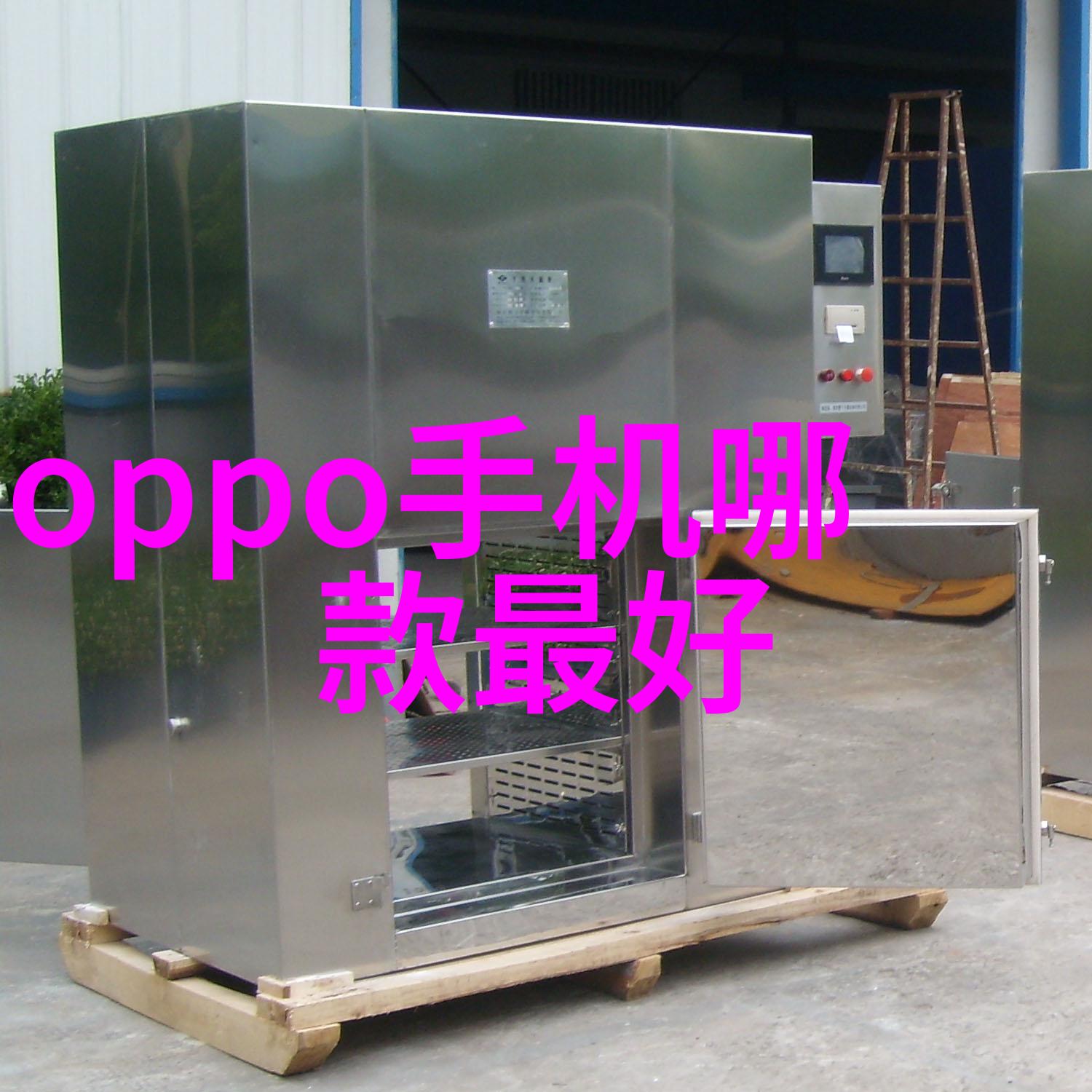 2023年春节家团圆的温暖与喜庆