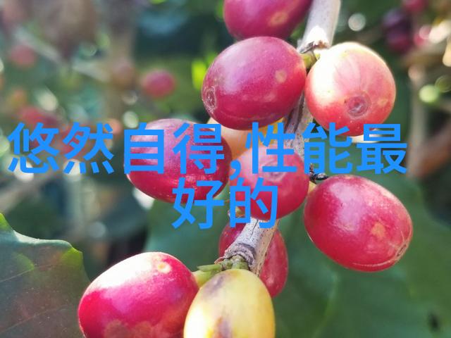 装修设计装饰 - 家居美学从简约到奢华探索室内装修设计的艺术