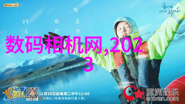 从一介庶女到尊贵后妃的传奇之旅
