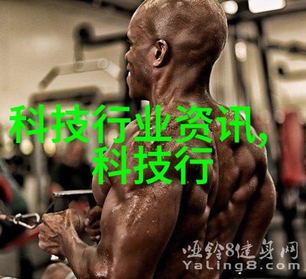 卫生级隔膜泵-探讨其特点及应用领域