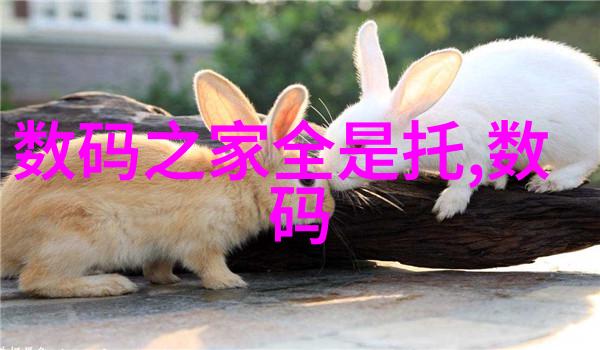 tds水质检测标准详解饮用水质量监测规范