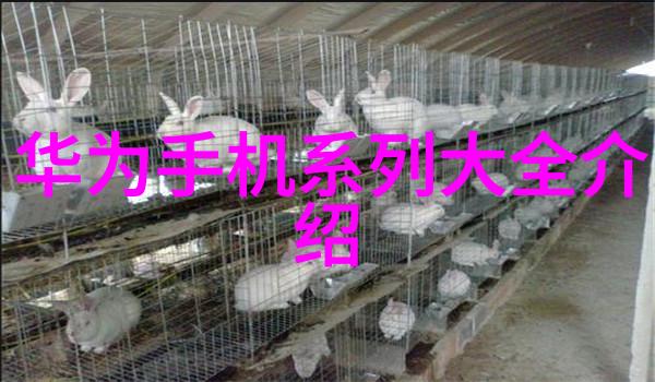 水利智囊团管中窥豹探秘常用给水管材之多样性