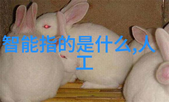 不锈钢加热搅拌反应釜我的小厨房新宠儿
