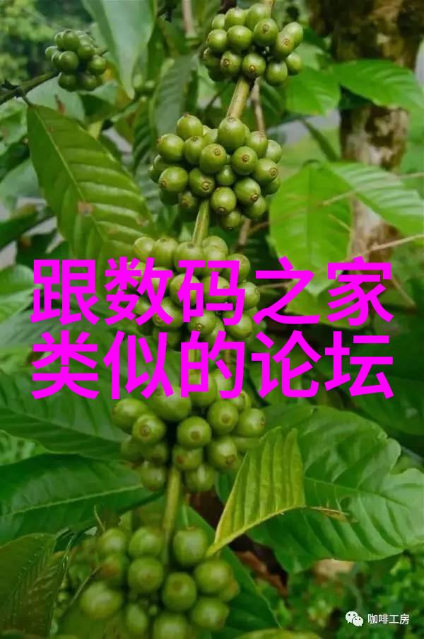 化学工艺-电加热反应釜操作与安全注意事项