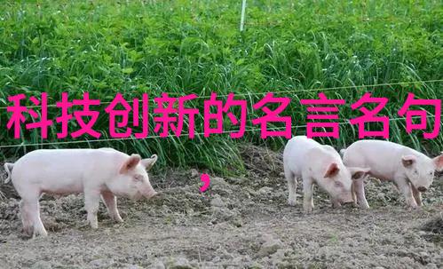 彩钢压瓦机绿色建筑的新选择