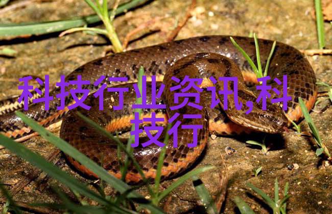 填料塔直径规格解析了解其尺寸标准与设计要素