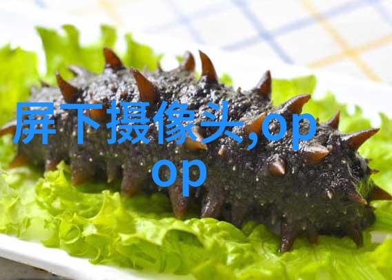 广州装修梦想色彩与线条的交响乐