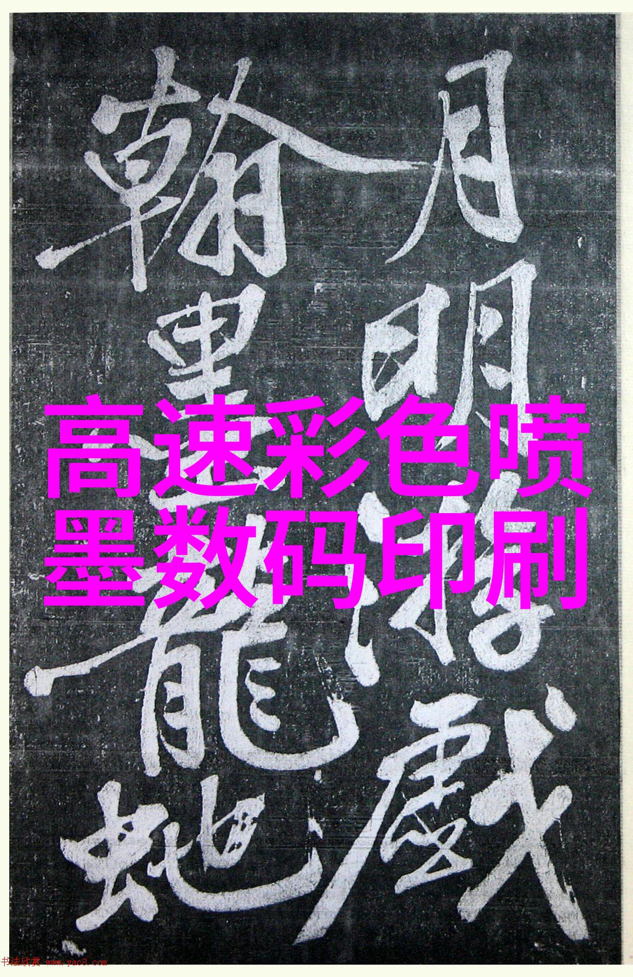 大尺寸的小黄说字多肉小学我是小黄我来告诉你我们的故事