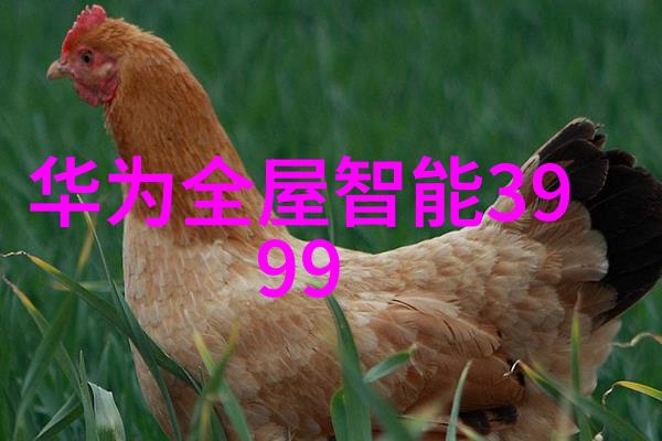 最简单的墙板安装我来教你如何轻松搭建家中的隔断