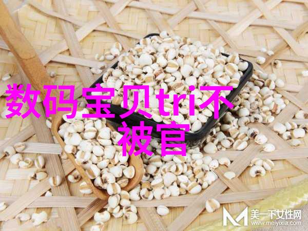 温馨居所的选择亚光砖如何提升家居美学与耐久性