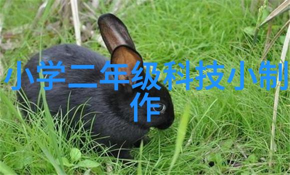 农村卫生间的温馨小屋创意装修指南