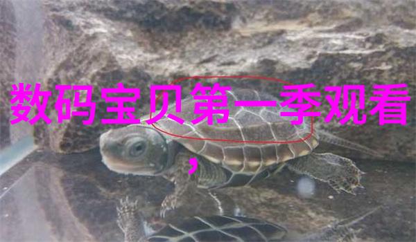 沉香豌的步微澜探索传统与现代的交融之美