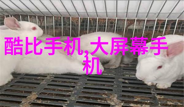 全国核酸大检测中央下令全民参与抗疫行动